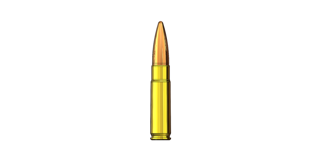 .300 AAC Blackout DUMMY ROUND Download