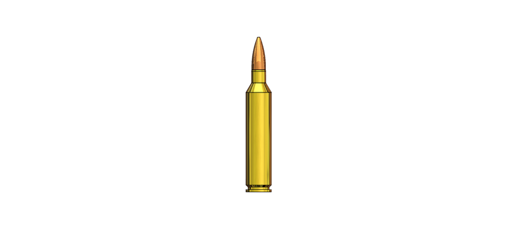 5.56x45 DUMMY ROUND Download